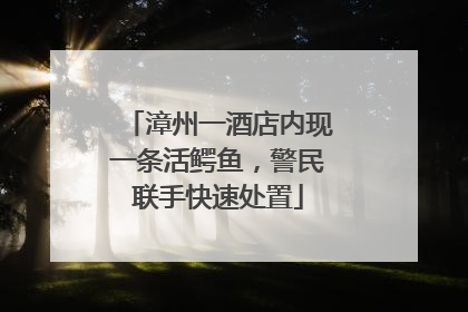 漳州一酒店内现一条活鳄鱼，警民联手快速处置