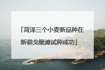 菏泽三个小麦新品种在新疆戈壁滩试种成功