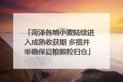 菏泽各地小麦陆续进入成熟收获期 多措并举确保夏粮颗粒归仓