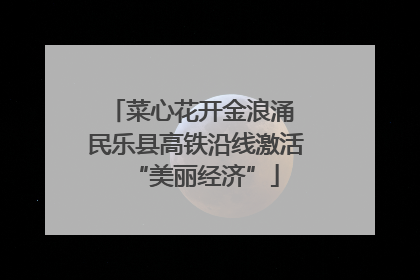 菜心花开金浪涌 民乐县高铁沿线激活“美丽经济”