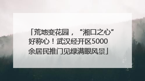 荒地变花园，“湘口之心”好称心！武汉经开区5000余居民推门见绿满眼风景