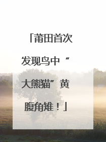 莆田首次发现鸟中“大熊猫”黄腹角雉！