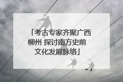 考古专家齐聚广西柳州 探讨南方史前文化发展脉络