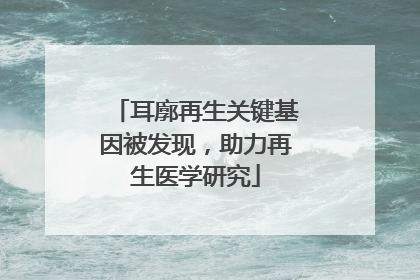 耳廓再生关键基因被发现，助力再生医学研究