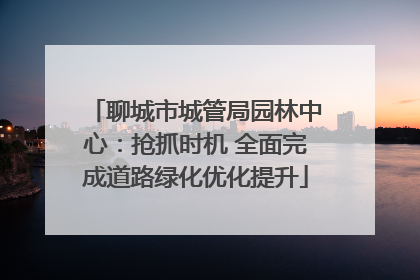 聊城市城管局园林中心：抢抓时机 全面完成道路绿化优化提升