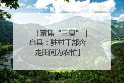 聚焦“三夏”｜息县：驻村干部奔走田间为农忙
