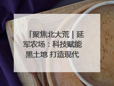 聚焦北大荒｜延军农场：科技赋能黑土地 打造现代农业“智慧芯”
