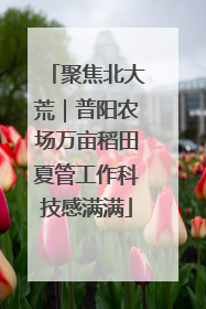 聚焦北大荒｜普阳农场万亩稻田夏管工作科技感满满