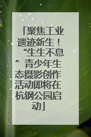 聚焦工业遗迹新生！“生生不息”青少年生态摄影创作活动即将在杭钢公园启动