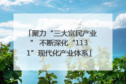 聚力“三大富民产业” 不断深化“1131”现代化产业体系