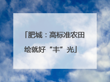 肥城：高标准农田绘就好“丰”光