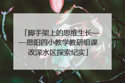 脚手架上的思维生长——恩阳四小教学教研组课改深水区探索纪实
