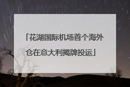 花湖国际机场首个海外仓在意大利揭牌投运