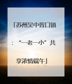 苏州吴中胥口镇：“一老一小”共享浓情端午