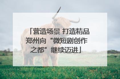 营造场景 打造精品 郑州向“微短剧创作之都”继续迈进