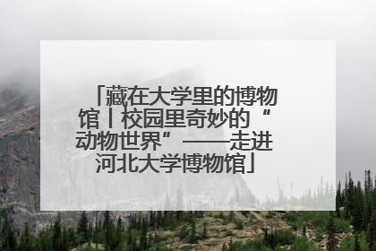 藏在大学里的博物馆丨校园里奇妙的“动物世界”——走进河北大学博物馆