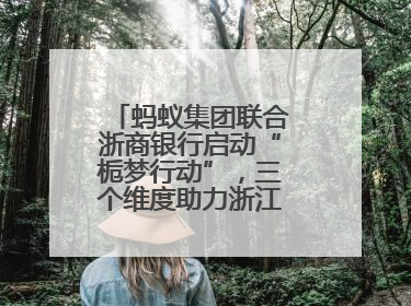 蚂蚁集团联合浙商银行启动“栀梦行动”，三个维度助力浙江下姜村建设共富示范区示范点
