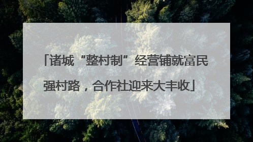 诸城“整村制”经营铺就富民强村路，合作社迎来大丰收