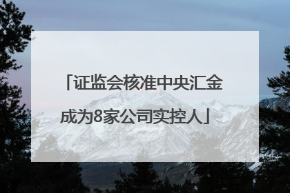 证监会核准中央汇金成为8家公司实控人