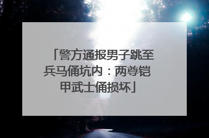 警方通报男子跳至兵马俑坑内：两尊铠甲武士俑损坏