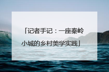 记者手记：一座秦岭小城的乡村美学实践