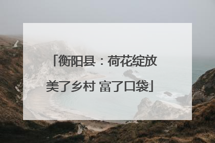 衡阳县：荷花绽放 美了乡村 富了口袋