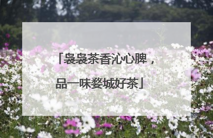 袅袅茶香沁心脾，品一味婺城好茶
