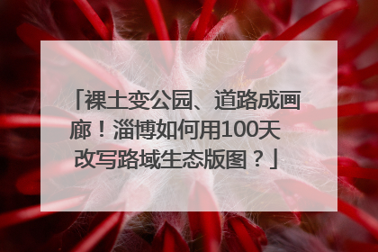 裸土变公园、道路成画廊！淄博如何用100天改写路域生态版图？