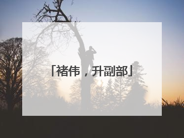 褚伟，升副部