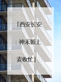 西安长安：神禾塬上麦收忙