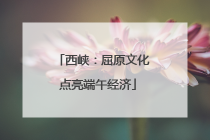 西峡：屈原文化点亮端午经济