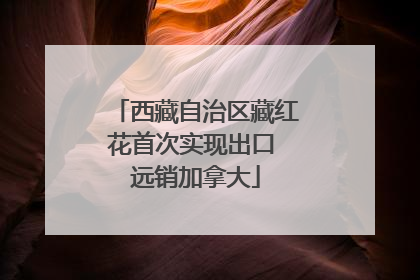 西藏自治区藏红花首次实现出口 远销加拿大