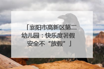 襄阳市高新区第二幼儿园：快乐度暑假 安全不“放假”