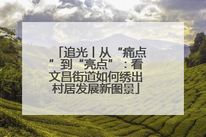 追光丨从“痛点”到“亮点”：看文昌街道如何绣出村居发展新图景