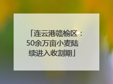 连云港赣榆区：50余万亩小麦陆续进入收割期
