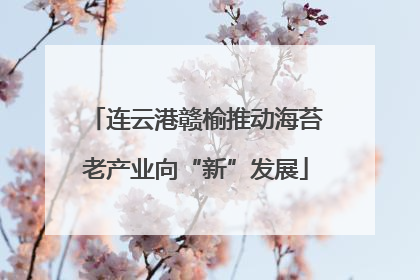 连云港赣榆推动海苔老产业向“新”发展