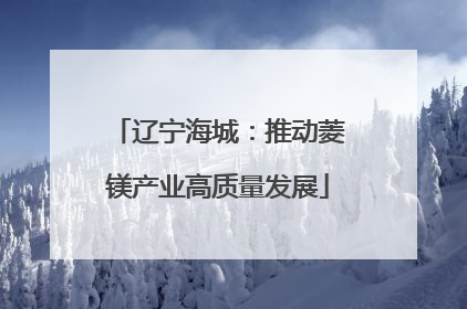 辽宁海城：推动菱镁产业高质量发展