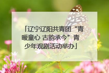辽宁辽阳共青团“青暖童心 古韵承今”青少年观剧活动举办
