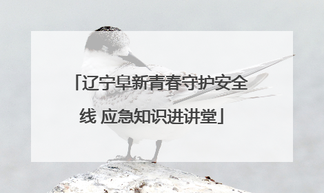 辽宁阜新青春守护安全线 应急知识进讲堂