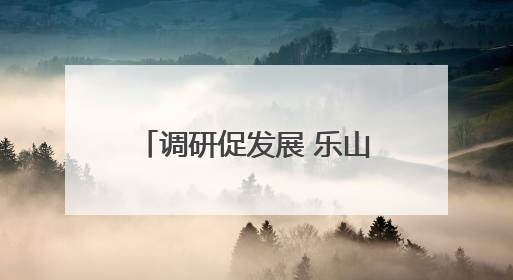 调研促发展 乐山市少先队鼓号队走进凤凰学校进行调研