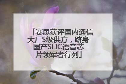 赛思获评国内通信大厂S级供方，跻身国产SLIC语音芯片领军者行列