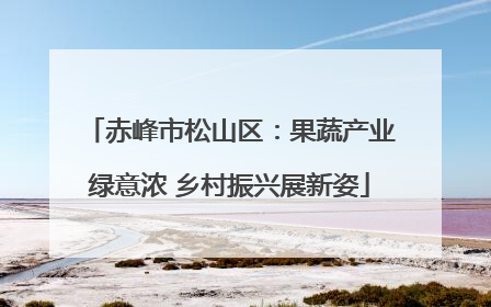 赤峰市松山区：果蔬产业绿意浓 乡村振兴展新姿