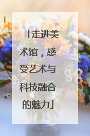 走进美术馆，感受艺术与科技融合的魅力