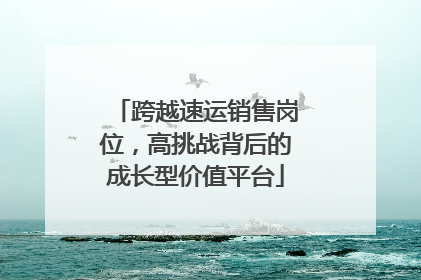 跨越速运销售岗位，高挑战背后的成长型价值平台