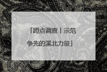 蹲点调查丨示范争先的溪北力量