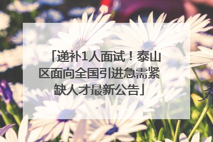 递补1人面试！泰山区面向全国引进急需紧缺人才最新公告