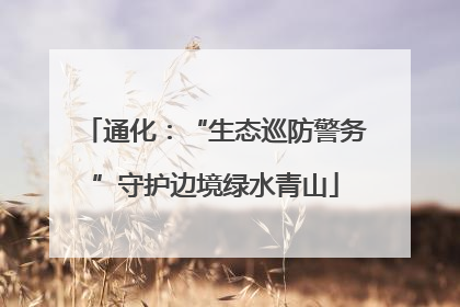 通化：“生态巡防警务”守护边境绿水青山