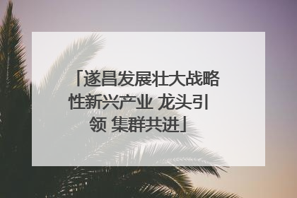 遂昌发展壮大战略性新兴产业 龙头引领 集群共进