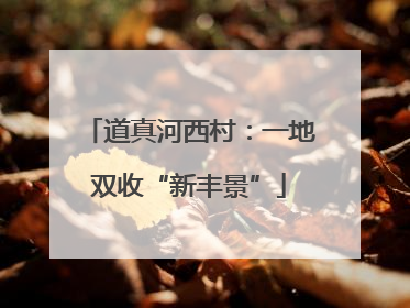 道真河西村：一地双收“新丰景”