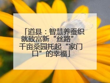 道县：智慧养蚕织就致富新“丝路” 千亩桑园托起“家门口”的幸福